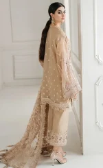 Embroidered Chiffon - CH1004