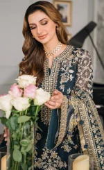 Embroidered Chiffon – CH12-01